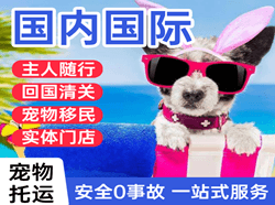三沙机场托运国际宠物托运 【国